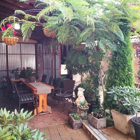 Pensiunea Remus Hotel Novaci-Străini Kültér fotó