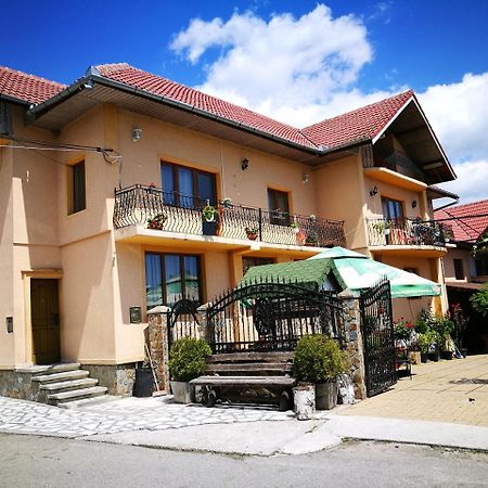 Pensiunea Remus Hotel Novaci-Străini Kültér fotó