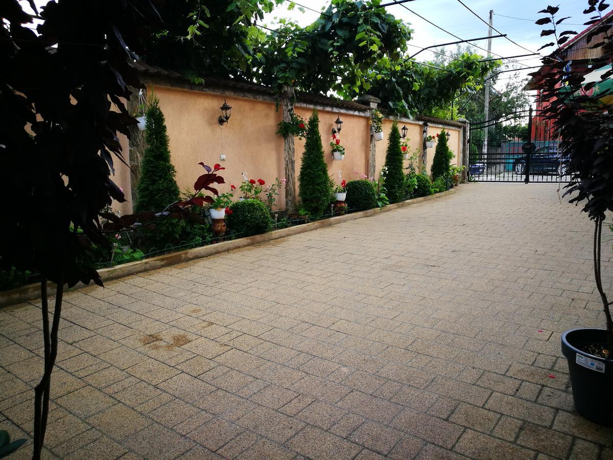 Pensiunea Remus Hotel Novaci-Străini Kültér fotó