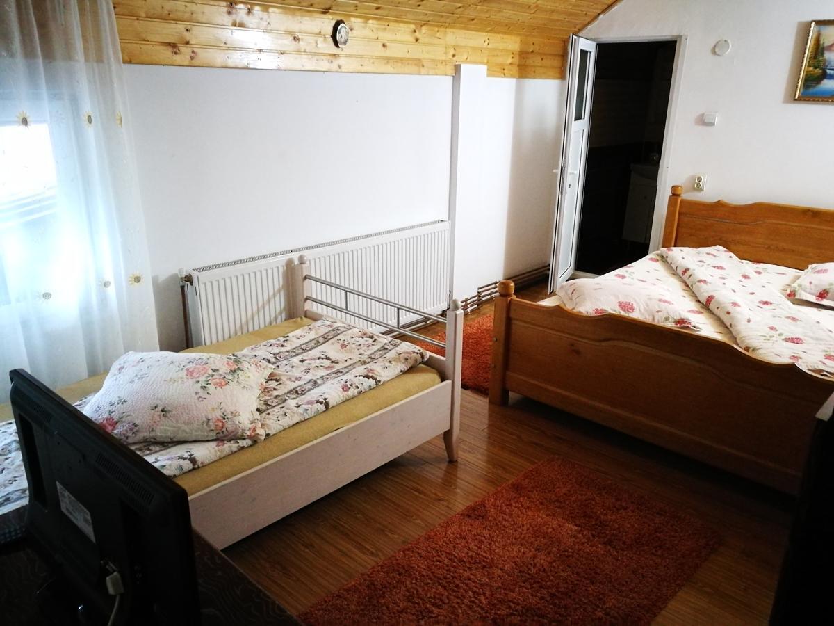 Pensiunea Remus Hotel Novaci-Străini Kültér fotó