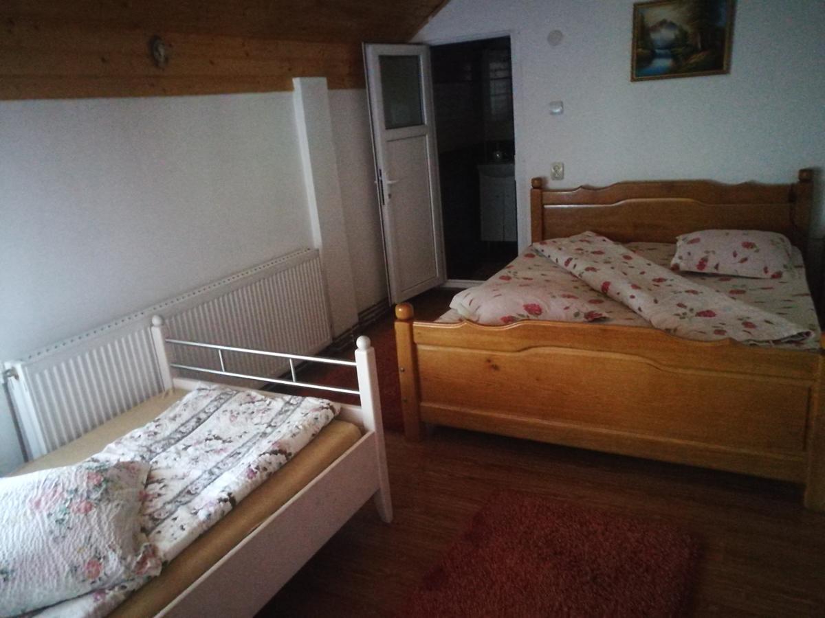 Pensiunea Remus Hotel Novaci-Străini Kültér fotó
