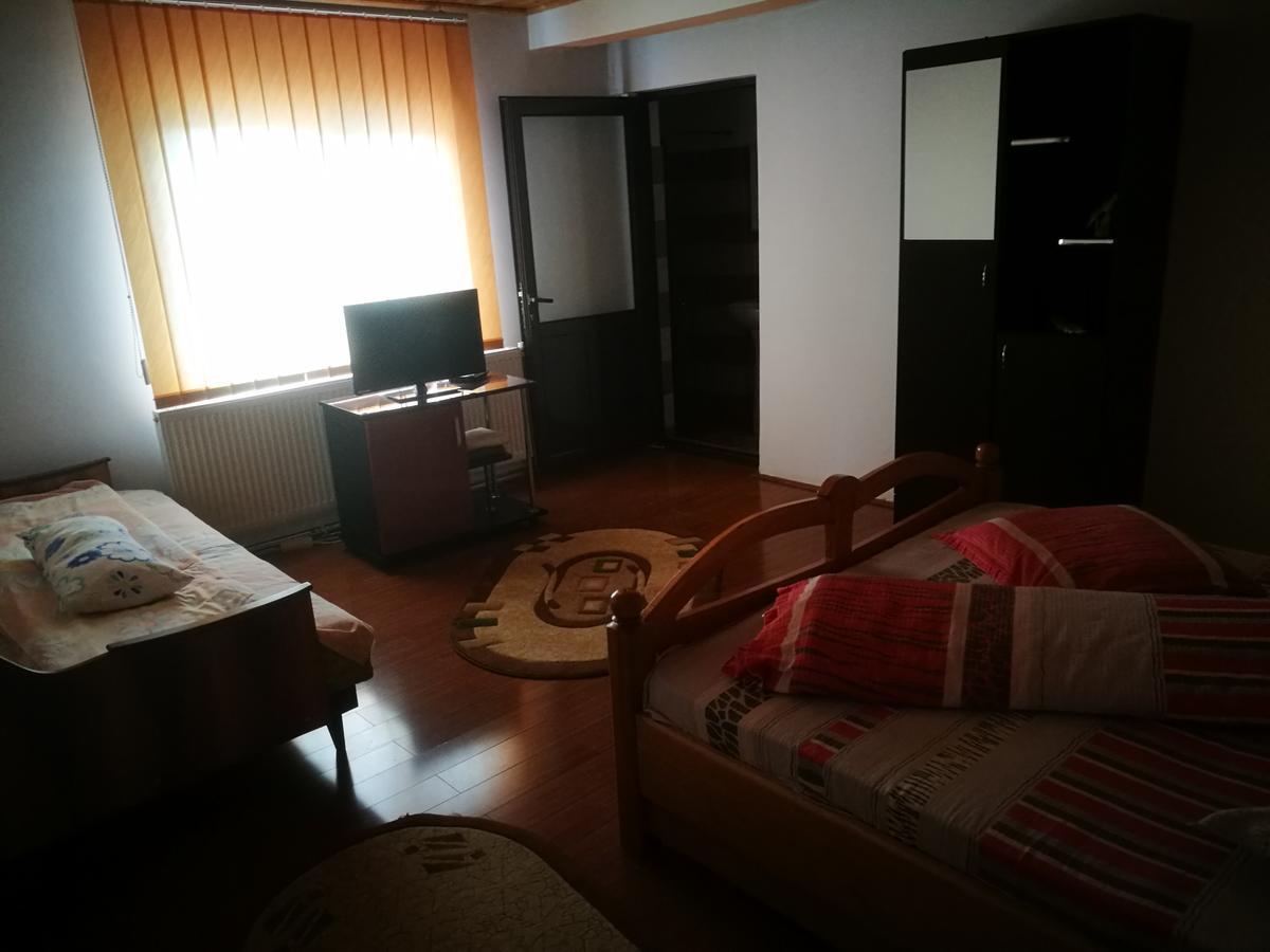 Pensiunea Remus Hotel Novaci-Străini Kültér fotó