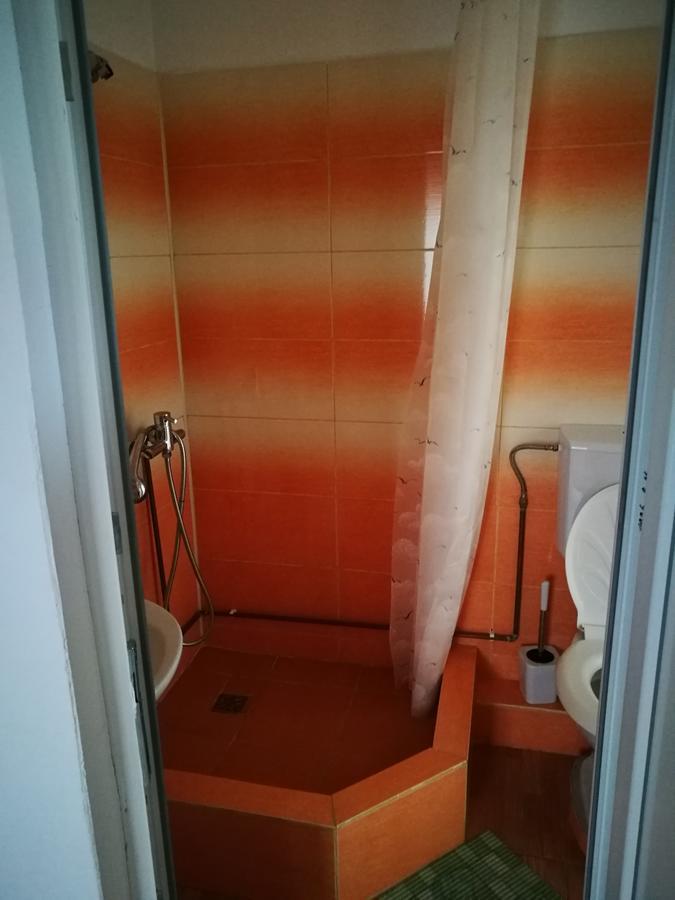 Pensiunea Remus Hotel Novaci-Străini Kültér fotó